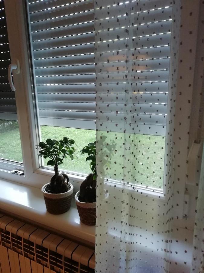 Sarmantni Apartman Malecka 자그레브 외부 사진